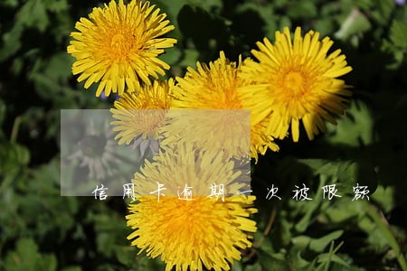 信用卡逾期一次被限额 信用卡逾期一次被限额