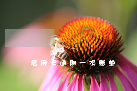 信用卡逾期一次账单 信用卡逾期一次账单