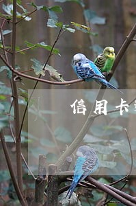信用卡逾期一次还不上怎么办 信用卡逾期一次还不上怎么办