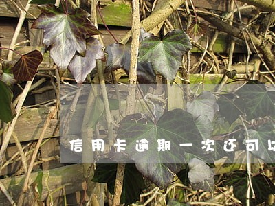 信用卡逾期一次还可以用公积金吗 信用卡逾期一次还可以用公积金吗