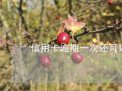 信用卡逾期一次还可以车贷吗 信用卡逾期一次还可以车贷吗