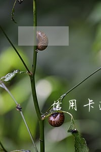 信用卡逾期一次还款怎么处理 信用卡逾期一次还款怎么处理