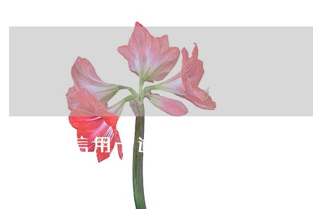 信用卡逾期一次还款有影响吗 信用卡逾期一次还款有影响吗