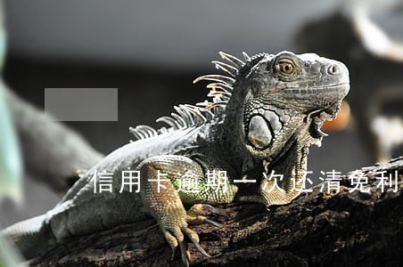 信用卡逾期一次还清免利息 信用卡逾期一次还清免利息