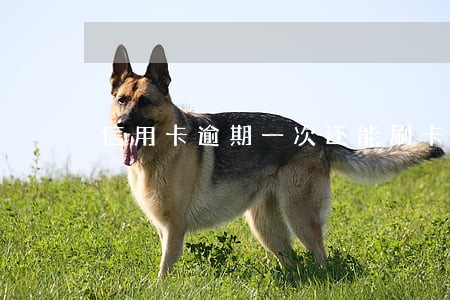 信用卡逾期一次还能刷卡吗 信用卡逾期一次还能刷卡吗