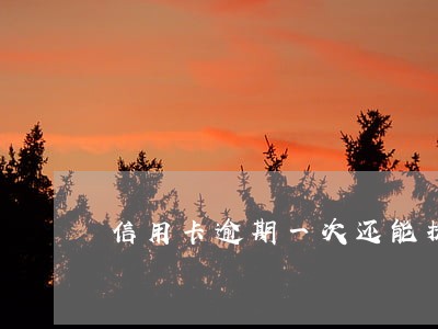 信用卡逾期一次还能提额度吗