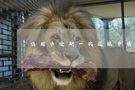信用卡逾期一次还能申请贷款 信用卡逾期一次还能申请贷款