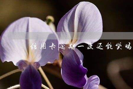 信用卡逾期一次还能贷吗
