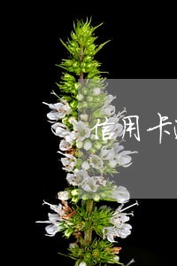 信用卡逾期一次金额小