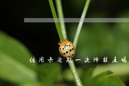 信用卡逾期一次降额度吗 信用卡逾期一次降额度吗
