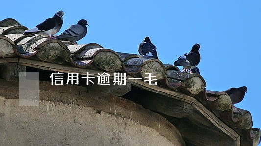 信用卡逾期一毛 信用卡逾期一毛