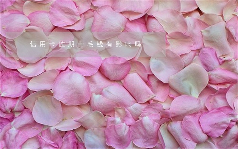 信用卡逾期一毛钱有影响吗