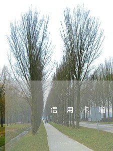 信用卡逾期一毛钱算不算逾期 信用卡逾期一毛钱算不算逾期