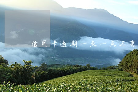 信用卡逾期一点一点还有影响吗 信用卡逾期一点一点还有影响吗