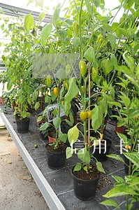 信用卡逾期一点一点还进去 信用卡逾期一点一点还进去