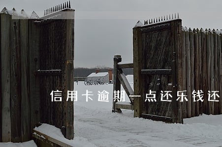 信用卡逾期一点还乐钱还要不要 信用卡逾期一点还乐钱还要不要