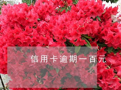 信用卡逾期一百元