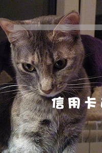 信用卡逾期一百元有影响嘛