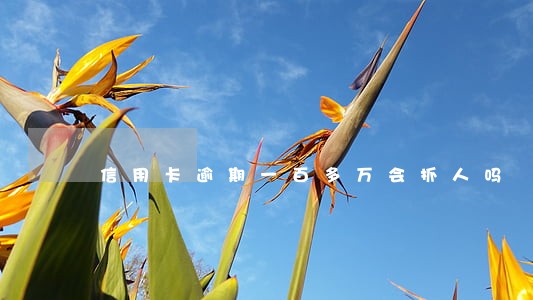 信用卡逾期一百多万会抓人吗 信用卡逾期一百多万会抓人吗
