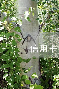 信用卡逾期一百多上征信 信用卡逾期一百多上征信