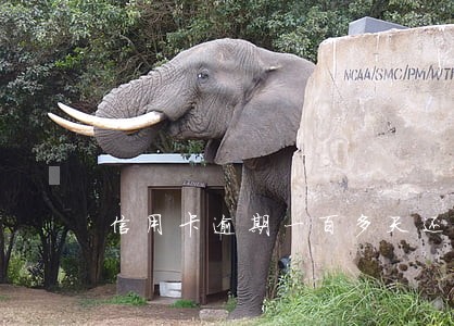 信用卡逾期一百多天还能用吗 信用卡逾期一百多天还能用吗