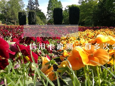信用卡逾期一百多次会怎么样