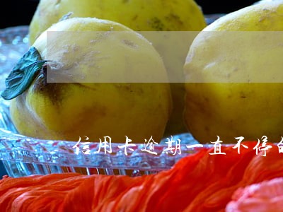 信用卡逾期一直不停的打电话 信用卡逾期一直不停的打电话