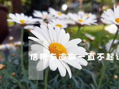 信用卡逾期一直不起诉怎么办 信用卡逾期一直不起诉怎么办