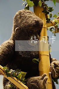 信用卡逾期一直不还有影响吗 信用卡逾期一直不还有影响吗