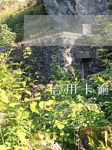 信用卡逾期一直产生利息怎么办 信用卡逾期一直产生利息怎么办