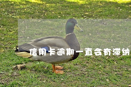 信用卡逾期一直会有滞纳金吗 信用卡逾期一直会有滞纳金吗