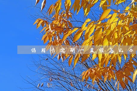 信用卡逾期一直催怎么办 信用卡逾期一直催怎么办