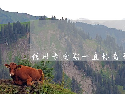 信用卡逾期一直协商不下来 信用卡逾期一直协商不下来