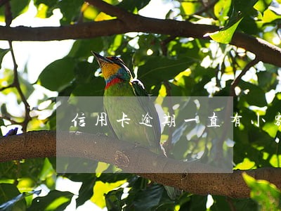 信用卡逾期一直有小额还款 信用卡逾期一直有小额还款