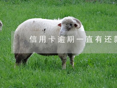 信用卡逾期一直有还款能立案 信用卡逾期一直有还款能立案