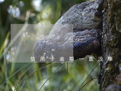 信用卡逾期一直没事 信用卡逾期一直没事