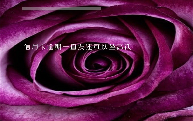 信用卡逾期一直没还可以坐高铁 信用卡逾期一直没还可以坐高铁