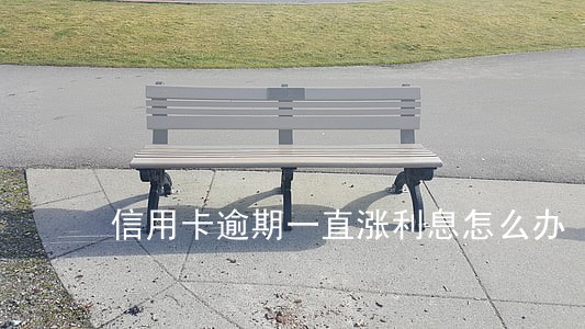 信用卡逾期一直涨利息怎么办 信用卡逾期一直涨利息怎么办