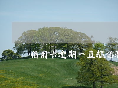 信用卡逾期一直短信骚扰 信用卡逾期一直短信骚扰