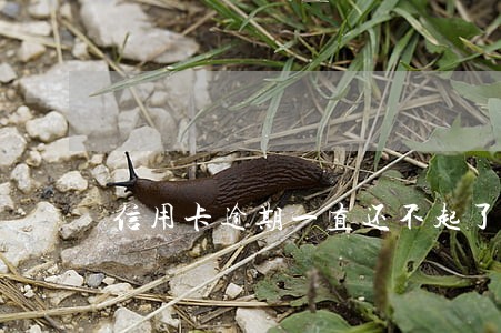 信用卡逾期一直还不起了怎么办