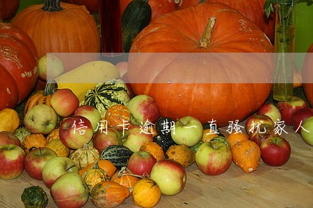 信用卡逾期一直骚扰家人