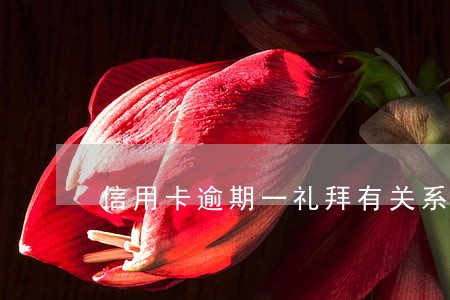 信用卡逾期一礼拜有关系吗