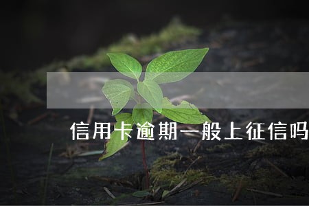 信用卡逾期一般上征信吗 信用卡逾期一般上征信吗