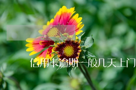 信用卡逾期一般几天上门 信用卡逾期一般几天上门
