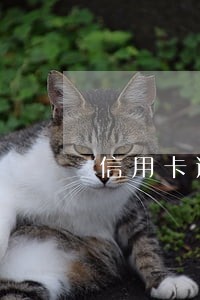 信用卡逾期一般几月还款 信用卡逾期一般几月还款