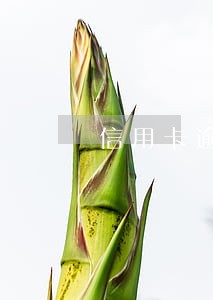 信用卡逾期一般利息是多少