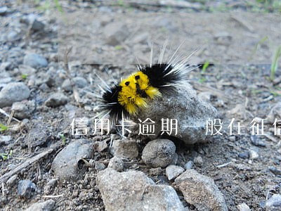 信用卡逾期一般在征信上存多久 信用卡逾期一般在征信上存多久