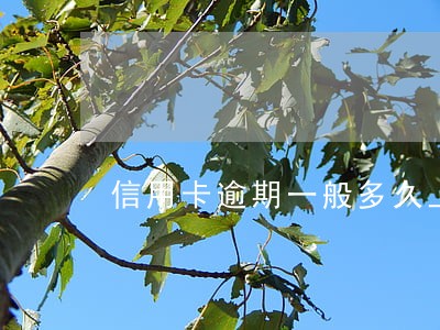 信用卡逾期一般多久上征信