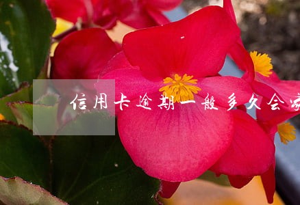 信用卡逾期一般多久会家访 信用卡逾期一般多久会家访