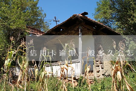 信用卡逾期一般多久会怎么样
